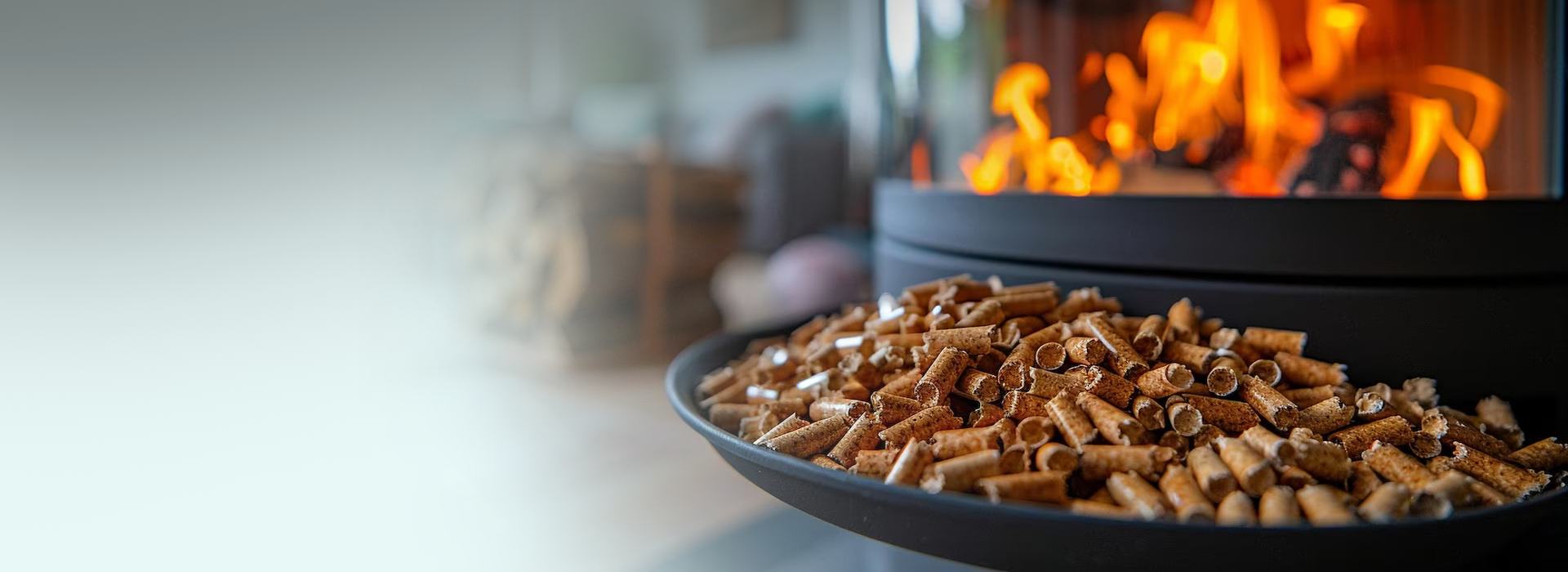 rupan renewable career